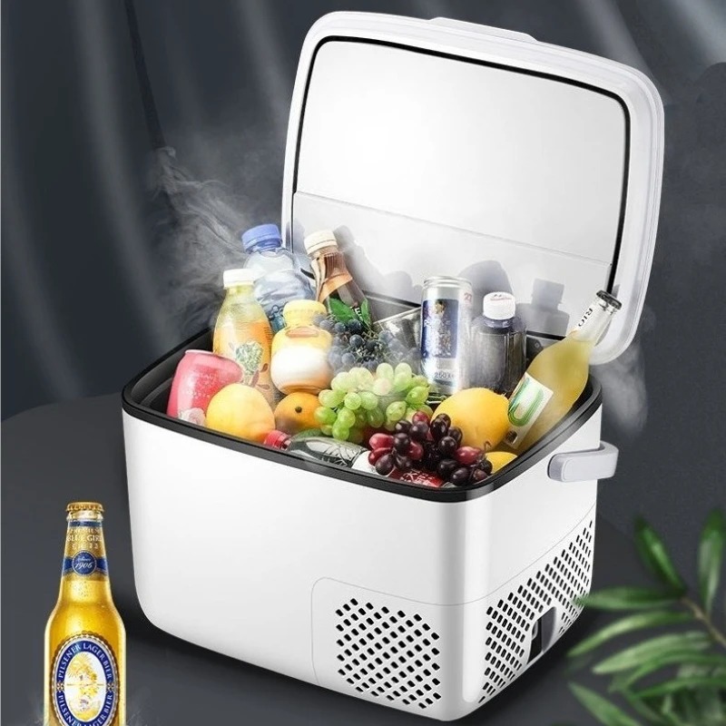 220V /12V /24V Autokühlschrank – Outdoor Furniture Zone Bewertung und Preis